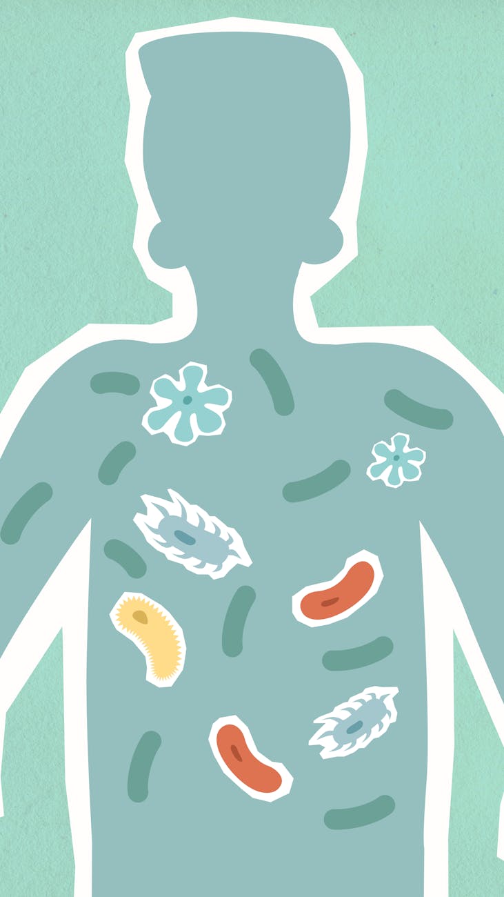 Illustration of the human microbiome within a body silhouette on textured background