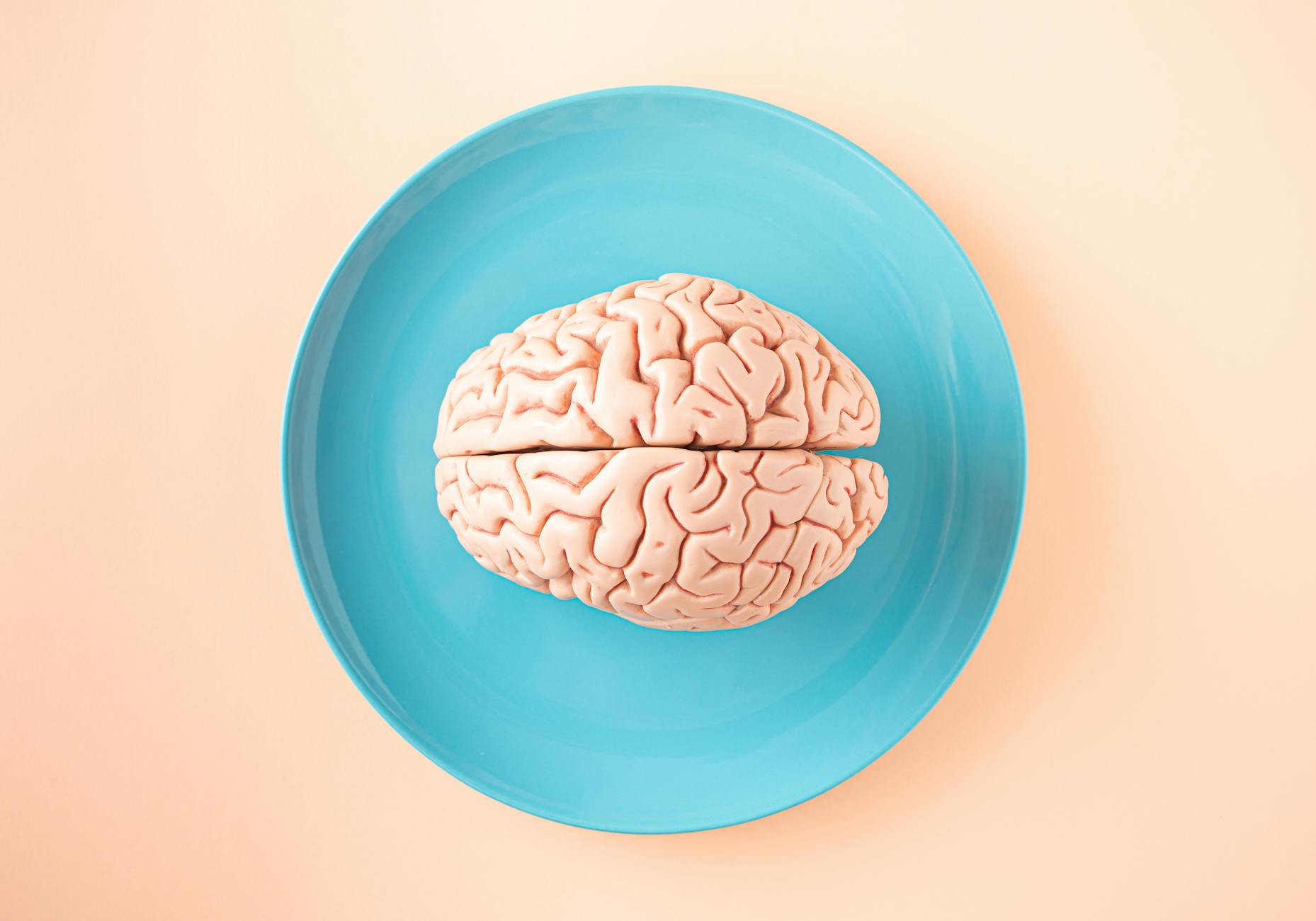 How Exercise Regulates Your Appetite: What the Science Says About Brain Reward Centers