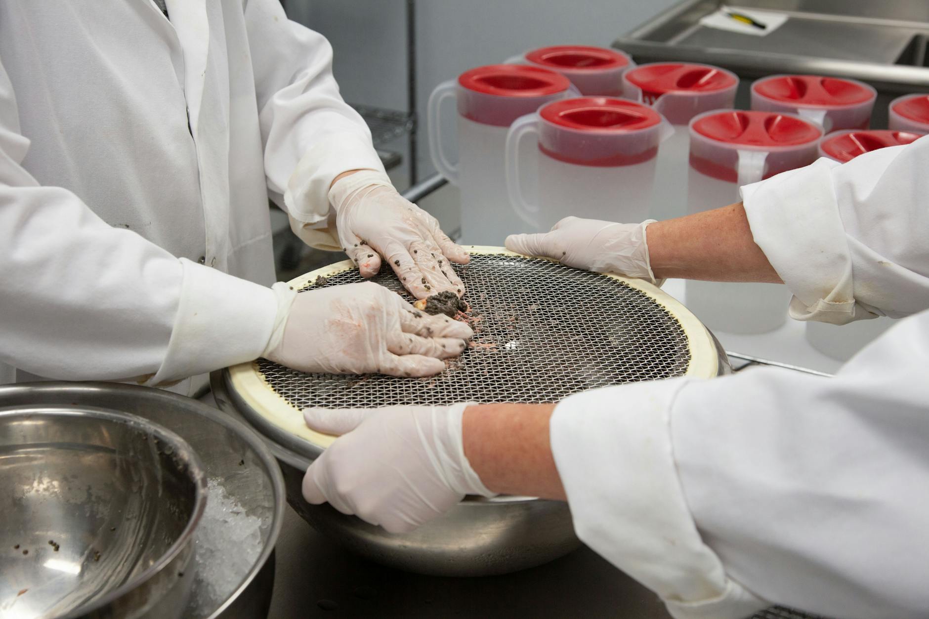 Two people prepare food in a lab setting