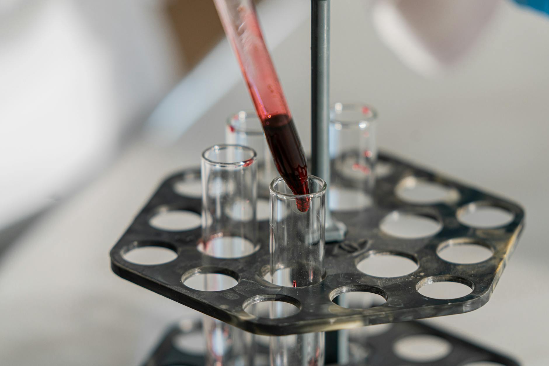 Close-up of pipettes and sample tubes in a laboratory, illustrating proteomic aging research.