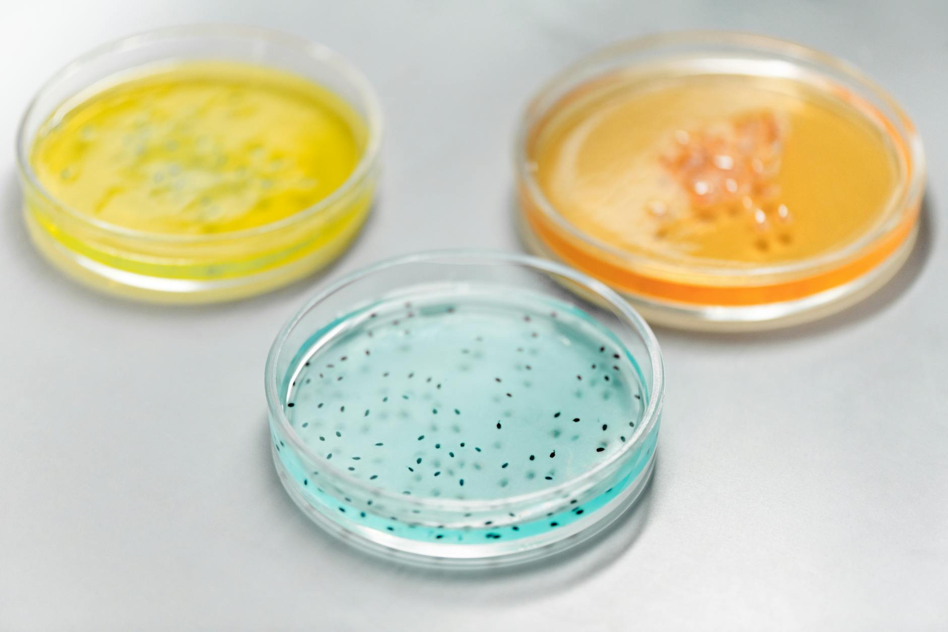 A close-up of fibrous plant-based ingredients representing prebiotic inulin