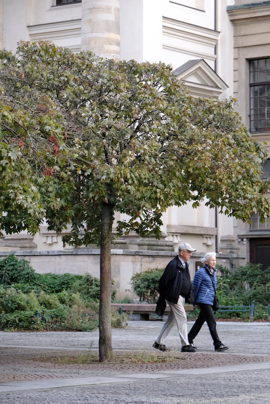 Older adults walking outdoors, illustrating healthy ageing and cardiovascular habits