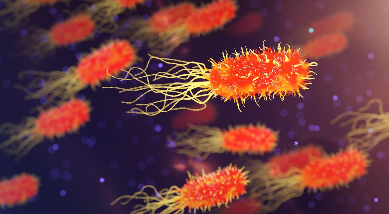 Gut bacteria may flag bone loss in hyperparathyroidism, but the new Bone Research paper is still an early risk signal, not probiotic advice.