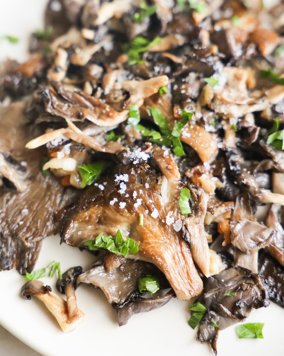 Pan-fried oyster mushrooms on a plate