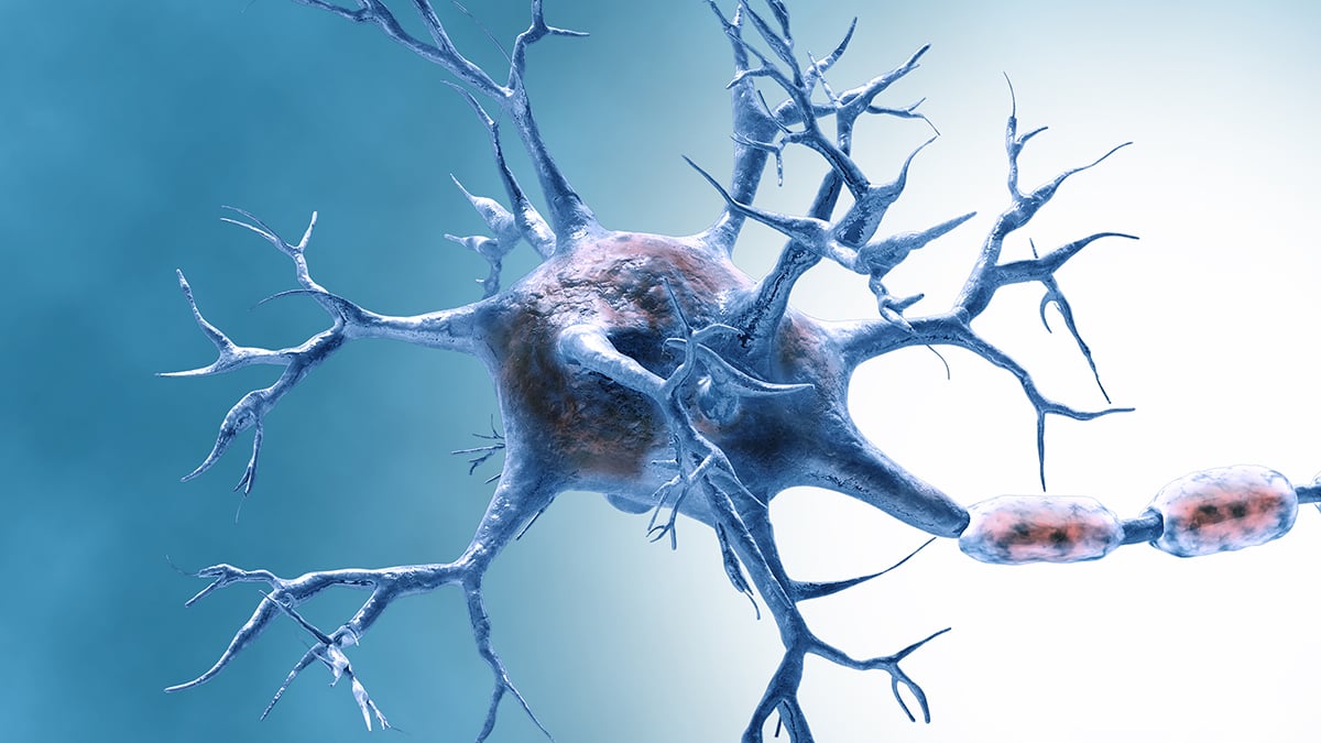 Neuron image illustrating brain aging research