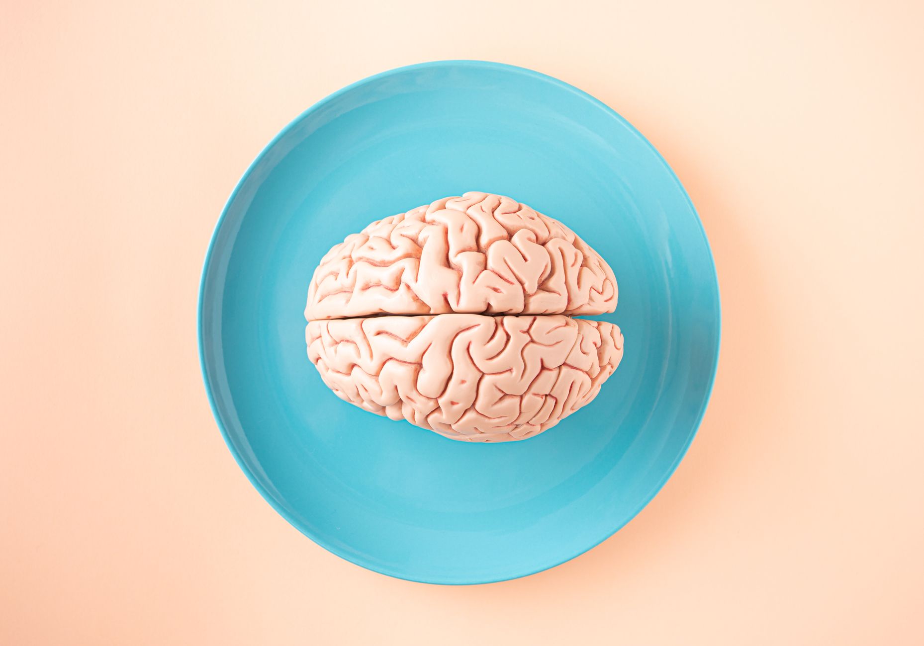 Scientific illustration of neural connections and the brain